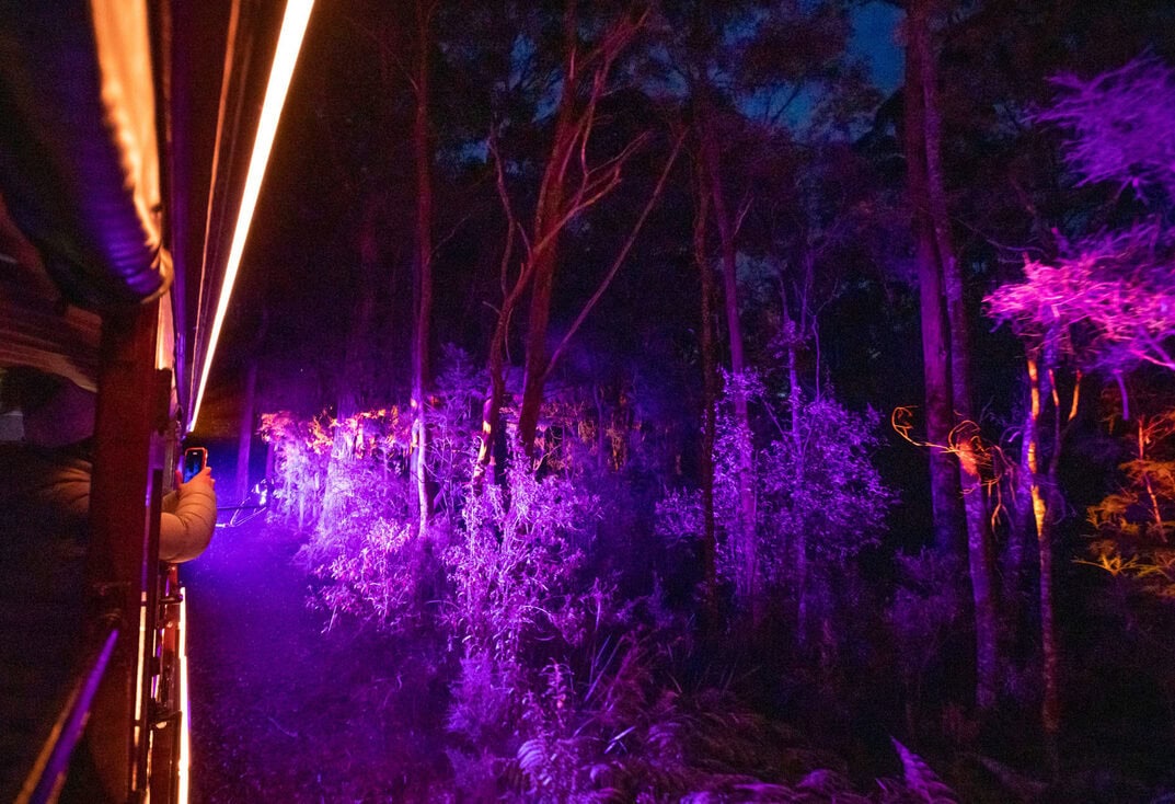 21133_C2_011_DSC_1173-1-landscape